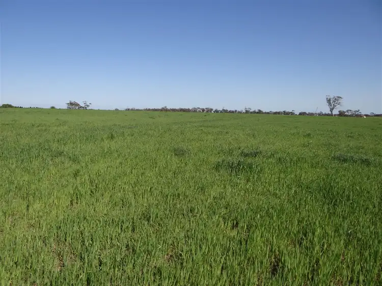 Seventh view of Homely rural property listing, 97 Serviceton North-Telopea Downs Rd, Serviceton VIC 3420