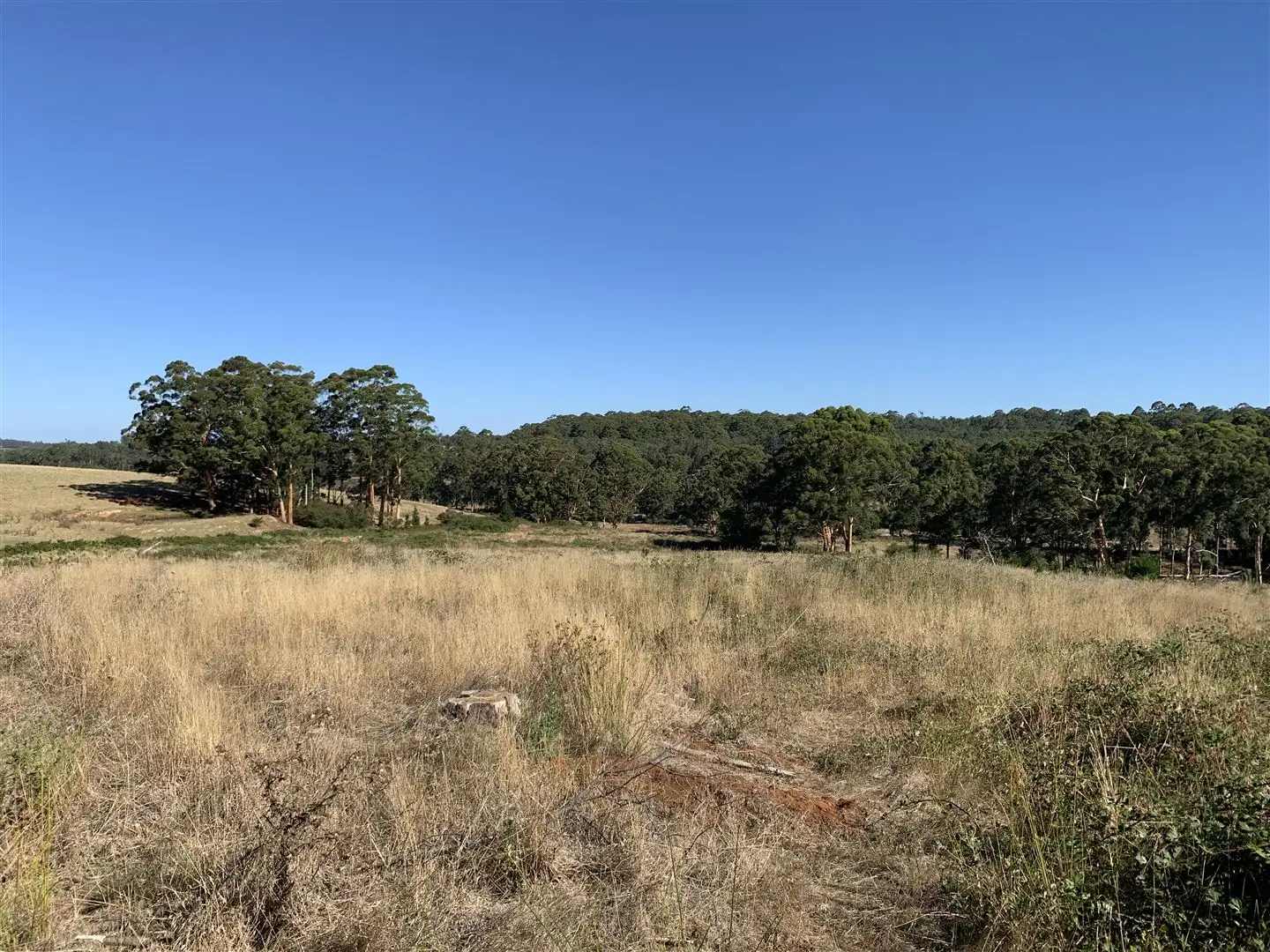 Main view of Homely rural property listing, Lot 641 Towie Road, Middlesex WA 6258