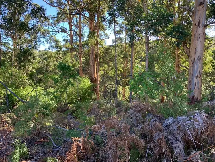 Fourth view of Homely rural property listing, Lot 641 Towie Road, Middlesex WA 6258