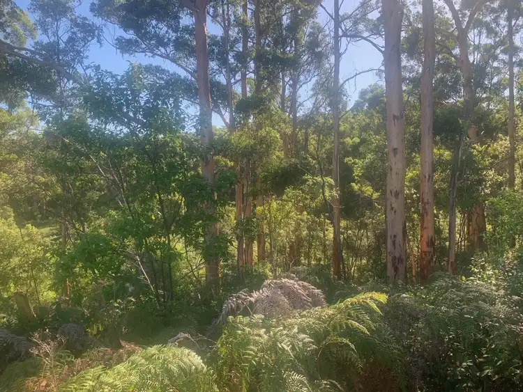 Fifth view of Homely rural property listing, Lot 641 Towie Road, Middlesex WA 6258