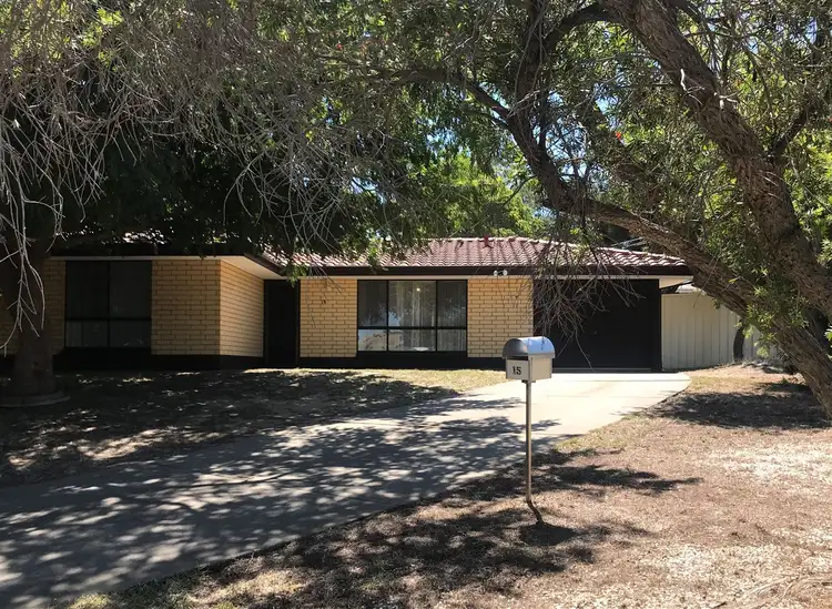 15 Perry Road
