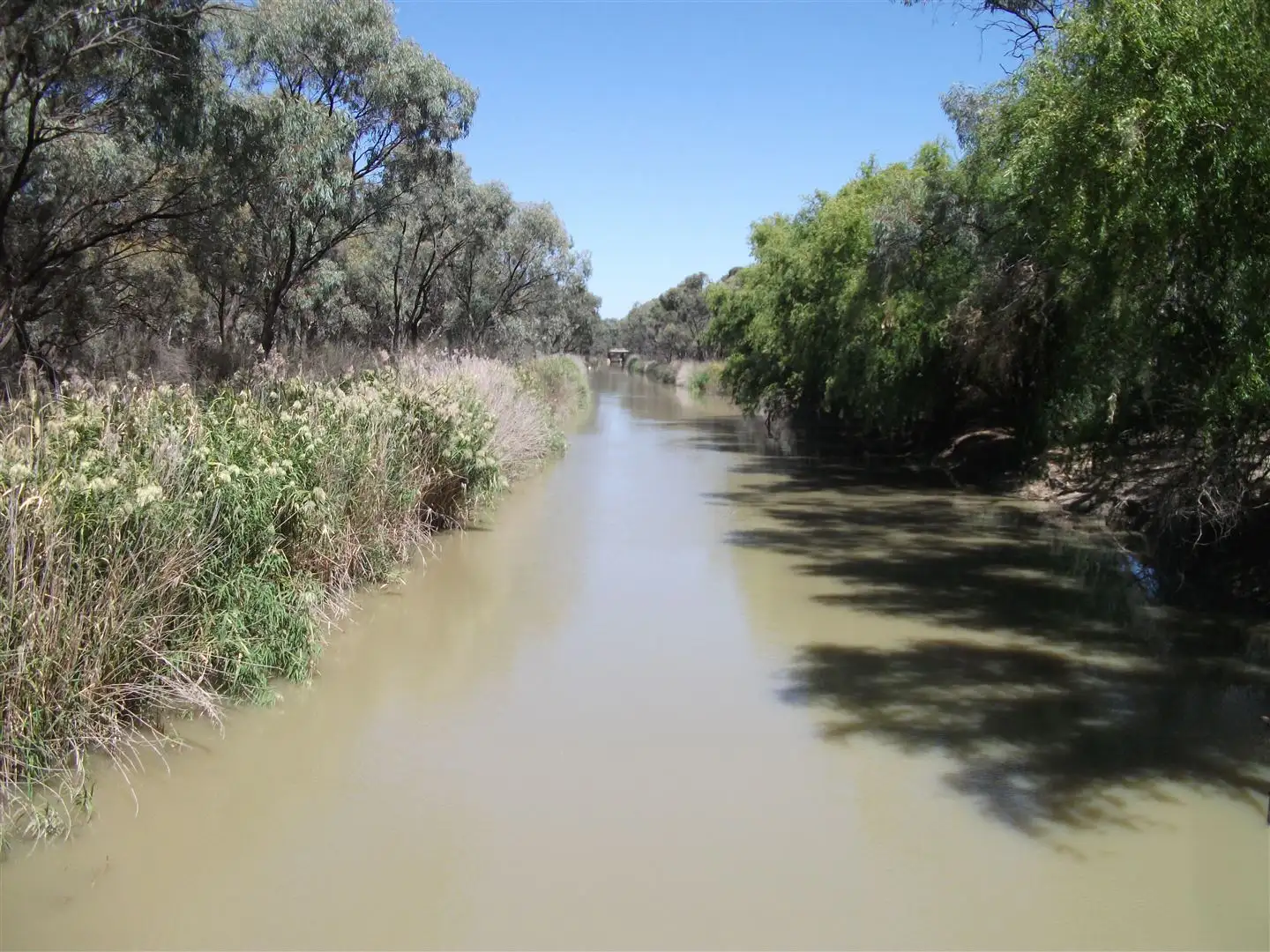 Main view of Homely rural property listing, 43 Maxwell Road, Cohuna VIC 3568