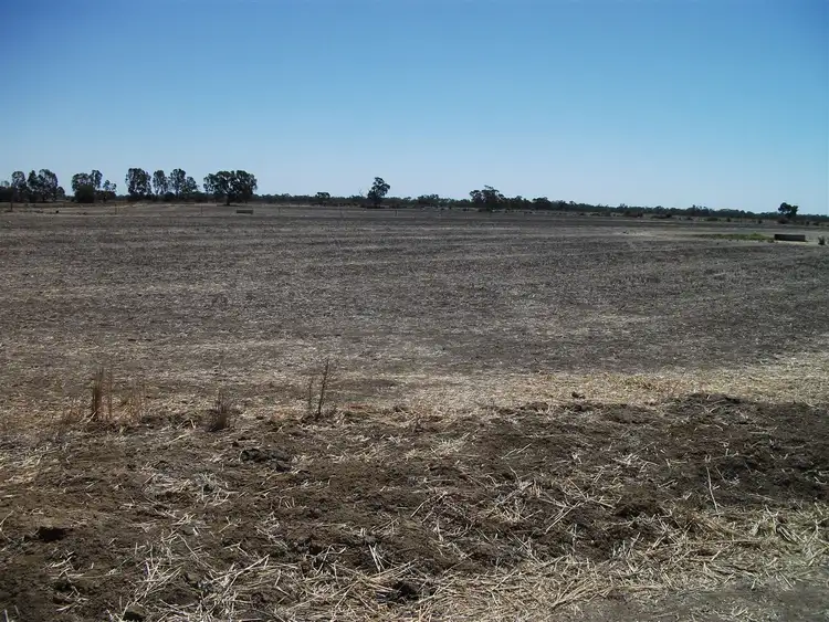Third view of Homely rural property listing, 43 Maxwell Road, Cohuna VIC 3568