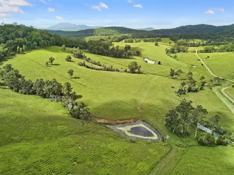 Second view of Homely rural property listing, 629 Upper Rollands Plains Road, Rollands Plains NSW 2441