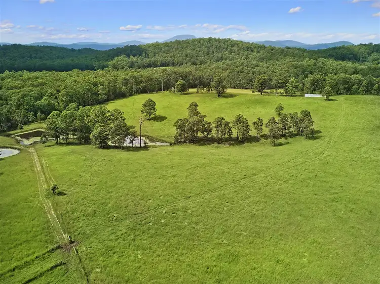 Third view of Homely rural property listing, 629 Upper Rollands Plains Road, Rollands Plains NSW 2441