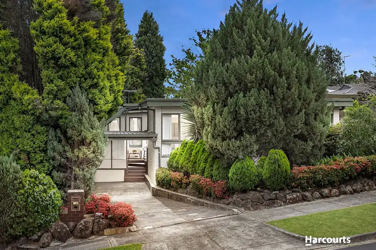 Main view of Homely house listing, 40 Holyrood Drive, Vermont VIC 3133