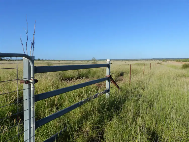 Seventh view of Homely rural property listing, 5941 Dunkeld Road "Maneroo", Roma QLD 4455