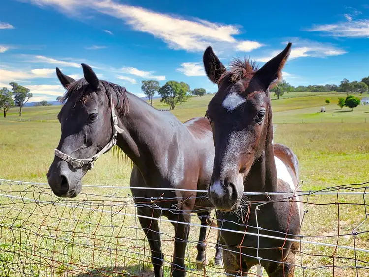 Fourth view of Homely land listing, 9 Grevillea Grove, Rylstone NSW 2849