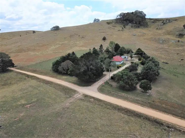 Second view of Homely rural property listing, 511 Little Plains Road, Mila NSW 2632