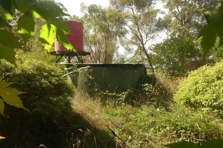 Seventh view of Homely rural property listing, 1008 Graphite Road (Yanmah), Manjimup WA 6258