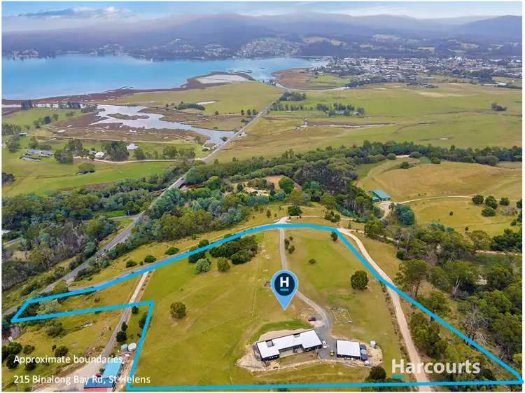 Sixth view of Homely house listing, 215 Binalong Bay Road, St Helens TAS 7216
