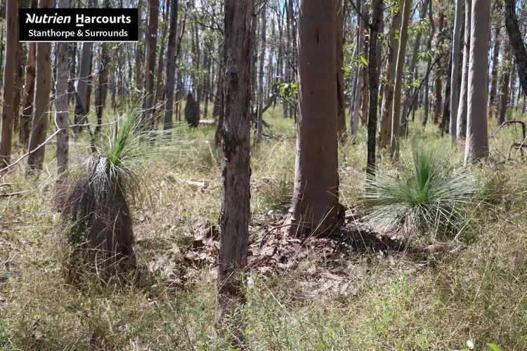 Seventh view of Homely rural property listing, Lot 137 Unnamed Road, Pratten QLD 4370