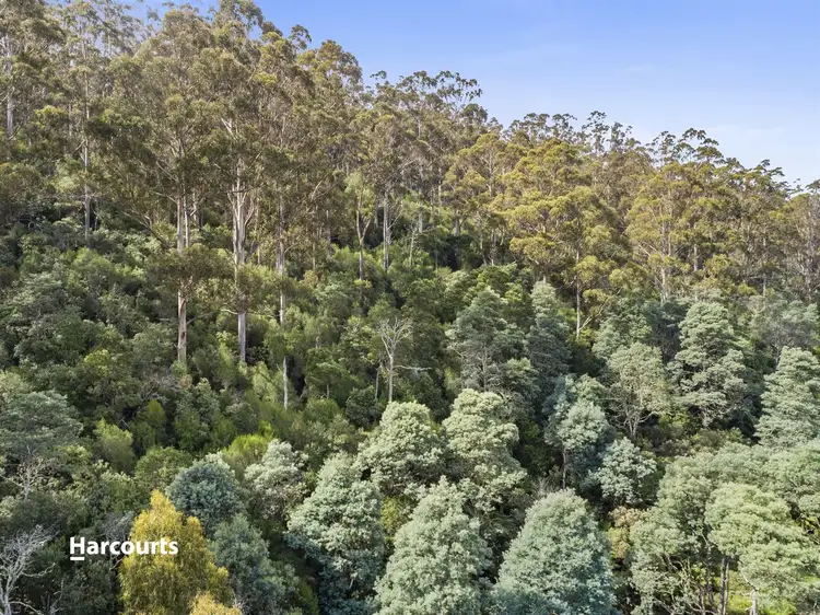 Fifth view of Homely land listing, 24 Lloyds Road, Franklin TAS 7113