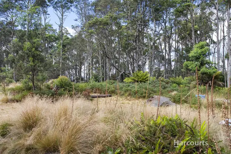 Fourth view of Homely land listing, 328 Loongana Road, Nietta TAS 7315