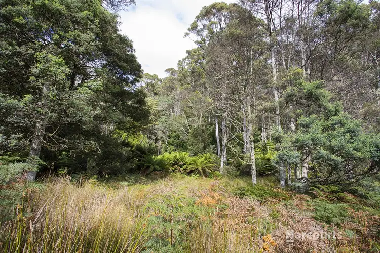 Sixth view of Homely land listing, 328 Loongana Road, Nietta TAS 7315