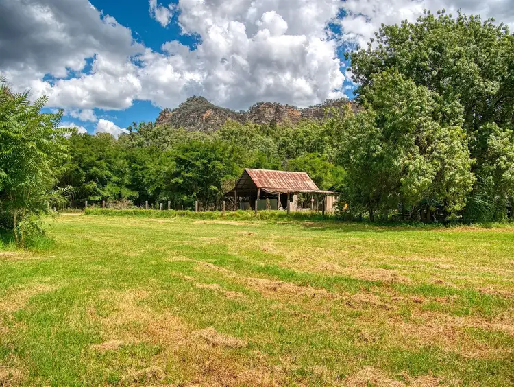 Fifth view of Homely rural property listing, 'The Elms'/5006 Bylong Valley Way Growee, Rylstone NSW 2849