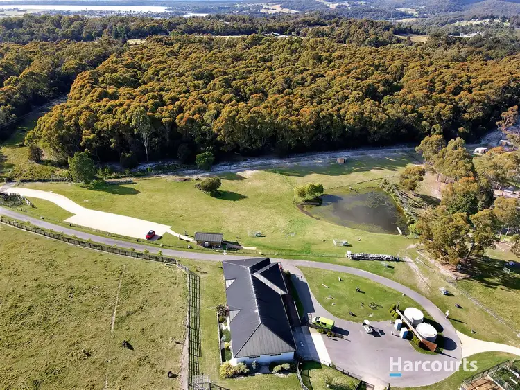 Fifth view of Homely rural property listing, 25741 Tasman Highway, St Helens TAS 7216