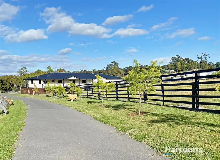 Sixth view of Homely rural property listing, 25741 Tasman Highway, St Helens TAS 7216