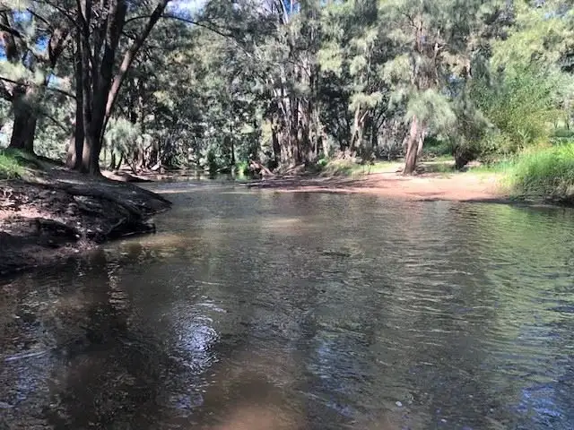 Main view of Homely rural property listing, 'Jardine'/266 Gum Gully Road Mebul, Gulgong NSW 2852