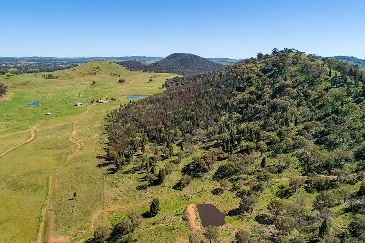 Seventh view of Homely rural property listing, 'Jardine'/266 Gum Gully Road Mebul, Gulgong NSW 2852