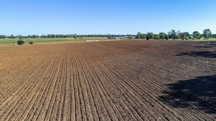 Fourth view of Homely rural property listing, Kooringal 207R Mitchell Highway, Dubbo NSW 2830