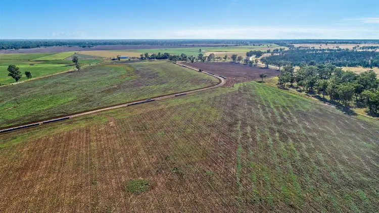 Fifth view of Homely rural property listing, Kooringal 207R Mitchell Highway, Dubbo NSW 2830