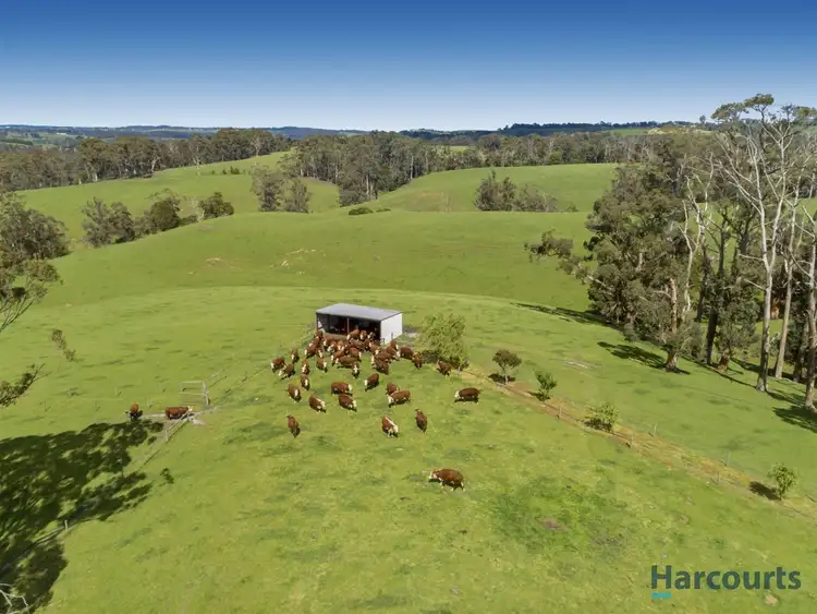 Third view of Homely rural property listing, 260 Invermay Road, Athlone VIC 3818