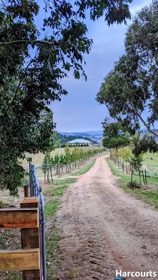 Third view of Homely rural property listing, 1755 Grand Ridge Road, Trida VIC 3953