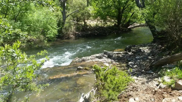 Fourth view of Homely rural property listing, 2704 Benambra-Corryong Rd, Nariel Valley VIC 3707