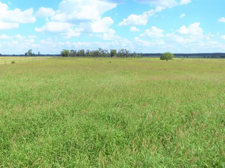 Third view of Homely rural property listing, 32O Summerfield Road "Summerfield", Wandoan QLD 4419
