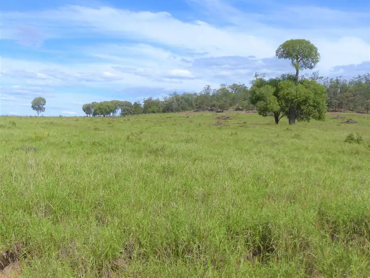 Seventh view of Homely rural property listing, 32O Summerfield Road "Summerfield", Wandoan QLD 4419
