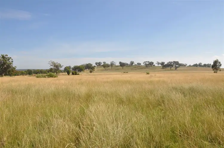 Main view of Homely rural property listing, 'Brooklyn West' 48 Wingabutta Rd, Binnaway NSW 2395