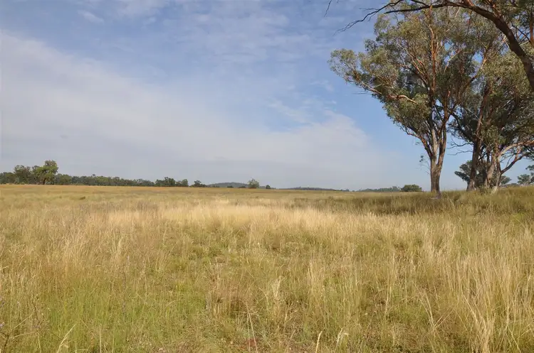 Second view of Homely rural property listing, 'Brooklyn West' 48 Wingabutta Rd, Binnaway NSW 2395