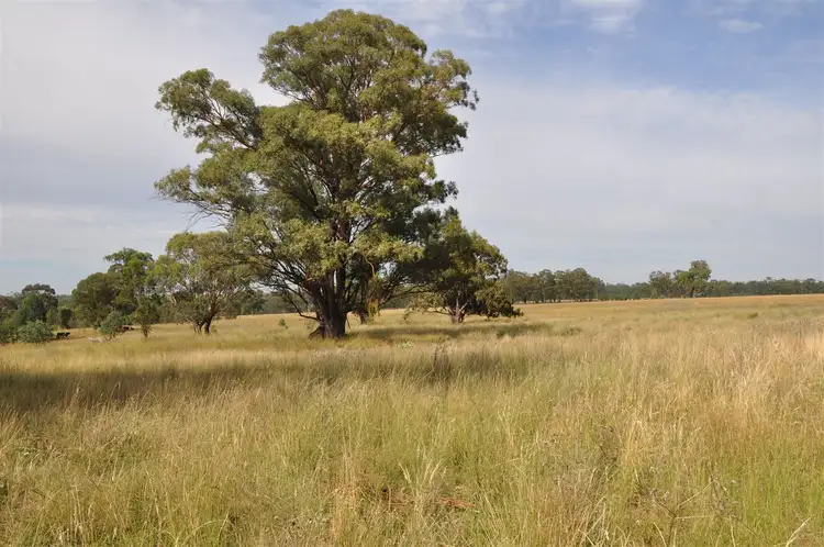 Third view of Homely rural property listing, 'Brooklyn West' 48 Wingabutta Rd, Binnaway NSW 2395