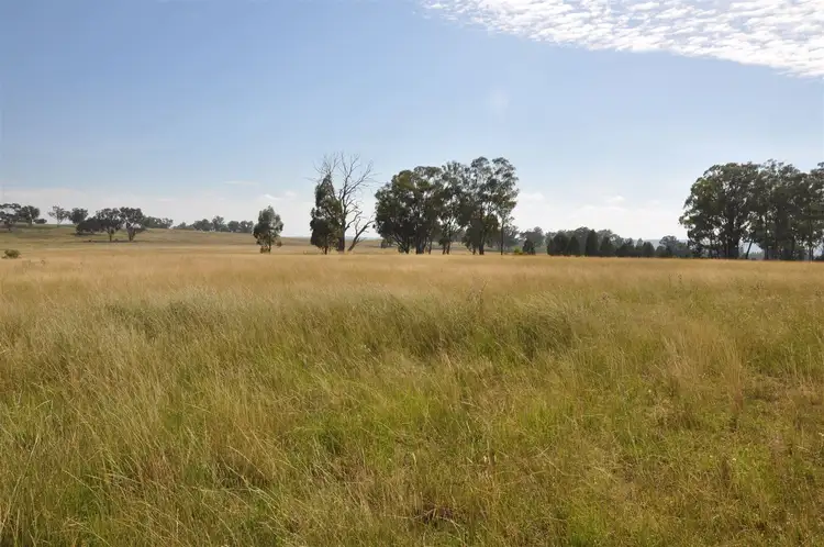 Fourth view of Homely rural property listing, 'Brooklyn West' 48 Wingabutta Rd, Binnaway NSW 2395