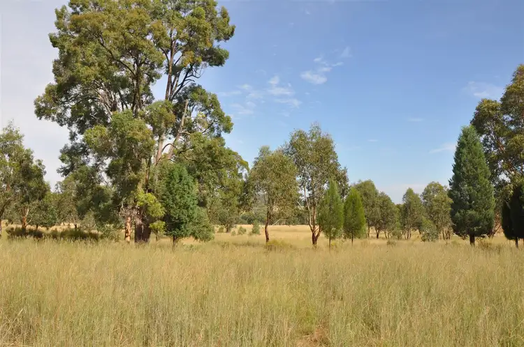 Sixth view of Homely rural property listing, 'Brooklyn West' 48 Wingabutta Rd, Binnaway NSW 2395
