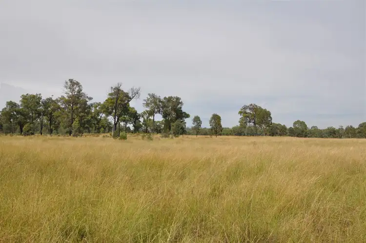 Seventh view of Homely rural property listing, 'Brooklyn West' 48 Wingabutta Rd, Binnaway NSW 2395