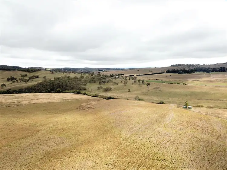 Seventh view of Homely rural property listing, Lot 201-204 Bellview Road, Bombala NSW 2632