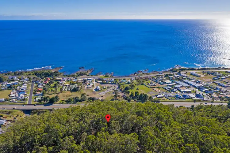 Sixth view of Homely rural property listing, 24 Zig Zag Road, Sulphur Creek TAS 7316