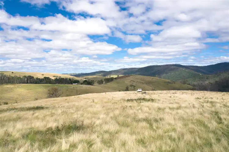 Main view of Homely rural property listing, 4 Slippery Pinch Road, Buchan VIC 3885