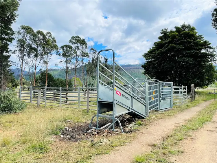 Fifth view of Homely rural property listing, 4 Slippery Pinch Road, Buchan VIC 3885