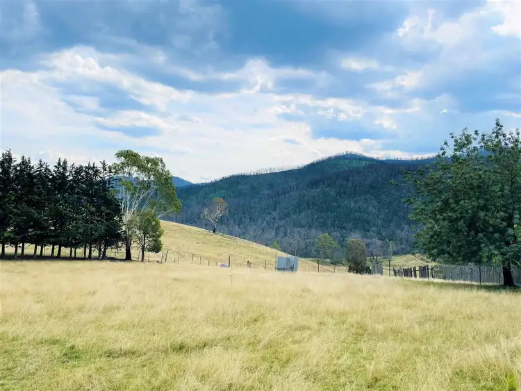 Seventh view of Homely rural property listing, 4 Slippery Pinch Road, Buchan VIC 3885