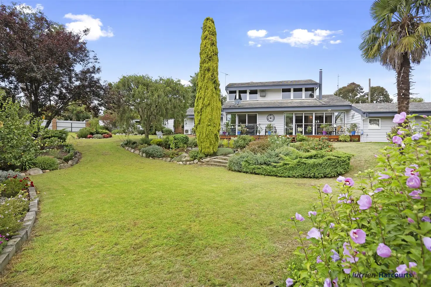 Main view of Homely house listing, 31 Myrtle Street, Alexandra VIC 3714