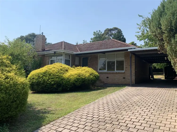 Main view of Homely house listing, 16 Anthony Drive, Mount Waverley VIC 3149