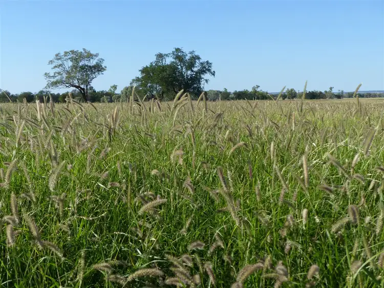 . 'Bymount', Roma QLD 4455
