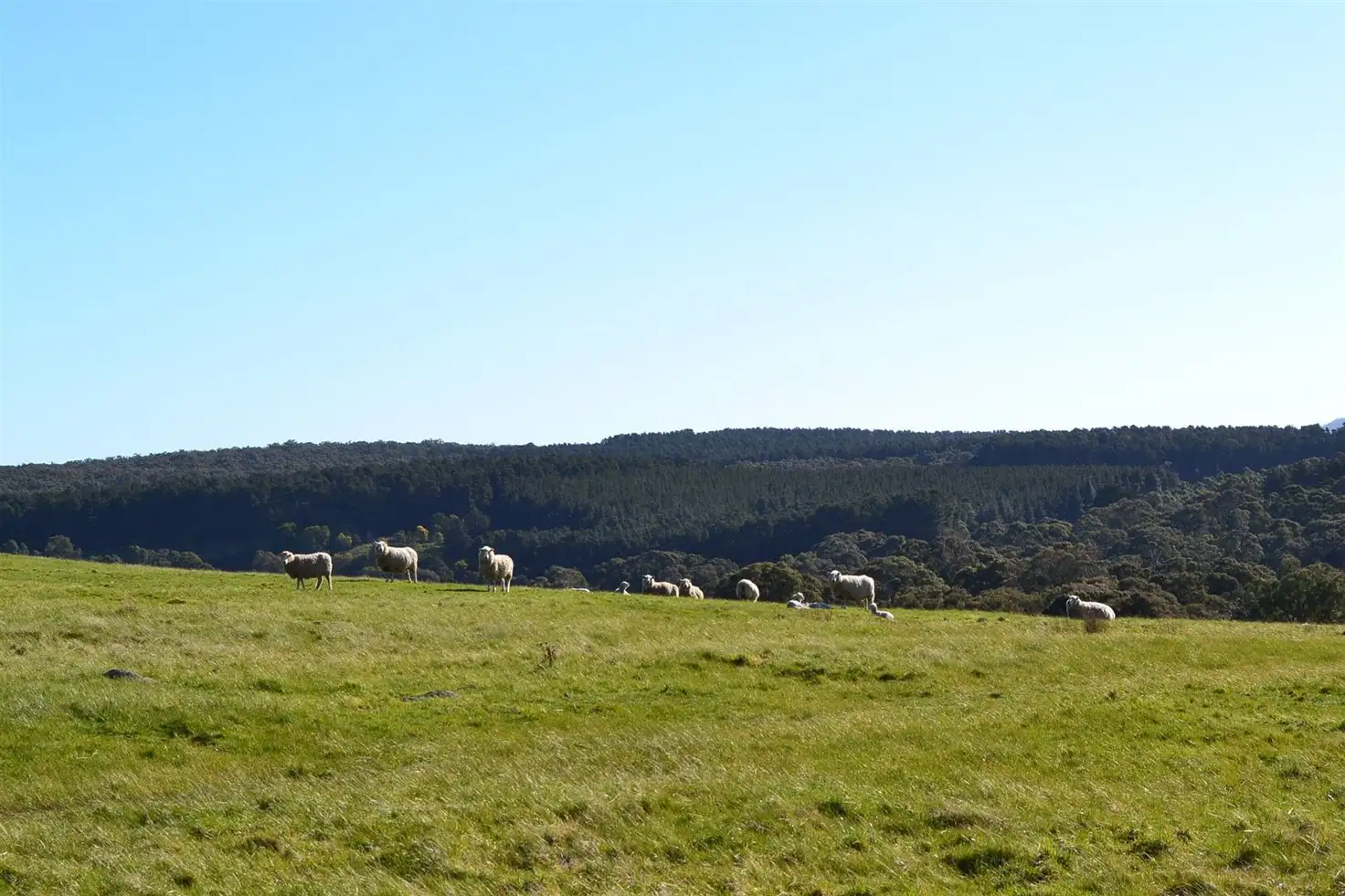 Main view of Homely rural property listing, Lot 2/27 / 27 Shaws Road, Ballan VIC 3342