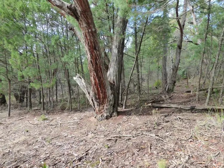 Seventh view of Homely land listing, Lot 6 Grampians Road, Halls Gap VIC 3381