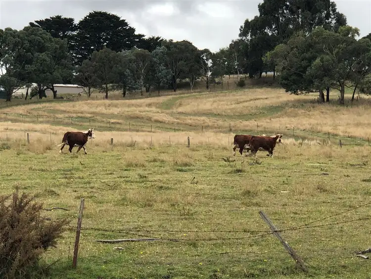 Second view of Homely land listing, CA 3 Ryans Road, Yendon VIC 3352