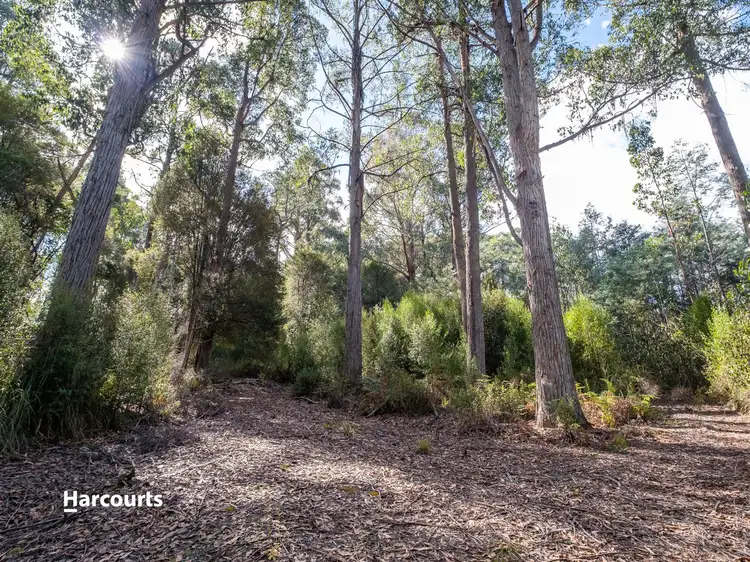 Third view of Homely land listing, 88 Lloyds Road, Franklin TAS 7113