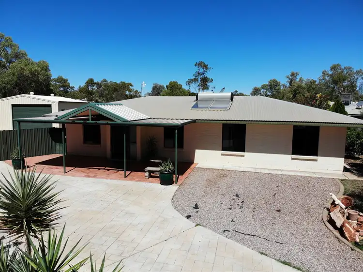 22 Bougainvilia Avenue, East Side NT 870